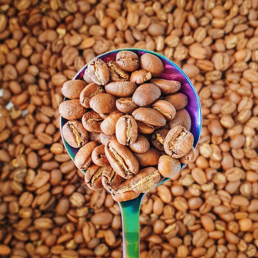 Scoop of roasted decaf coffee beans over a pile of beans