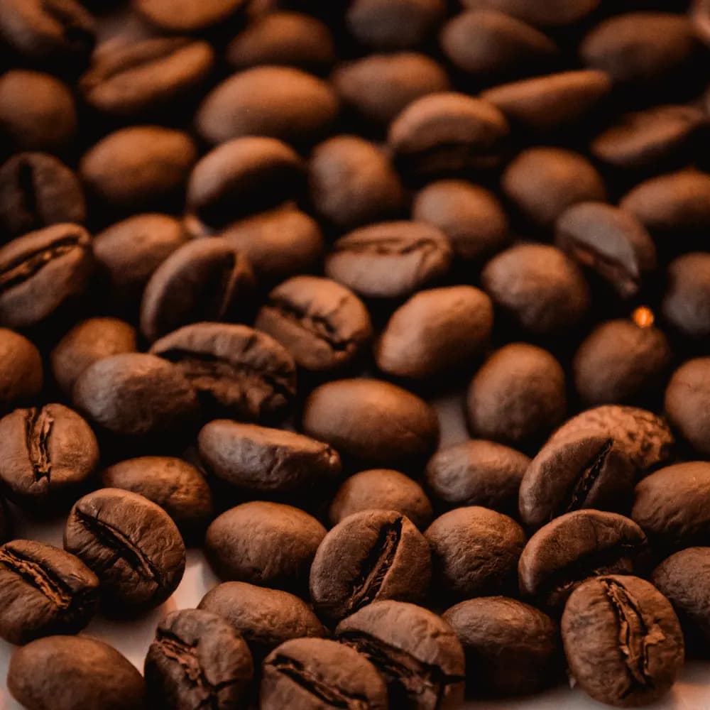 Close-up of medium roast whole coffee beans